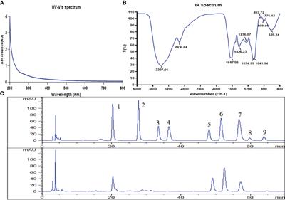 Corn silk polysaccharides attenuate diabetic nephropathy through restoration of the gut microbial ecosystem and metabolic homeostasis